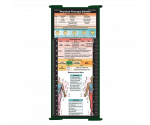 WhiteCoat Clipboard® Trifold - Green Physical Therapy Edition